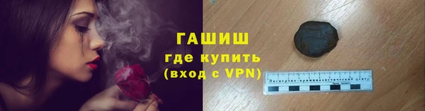 мдпв Козельск