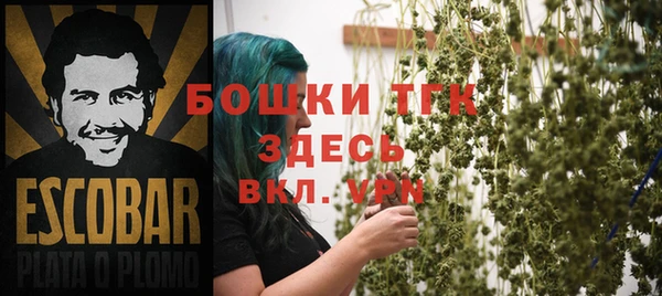 мдпв Козельск