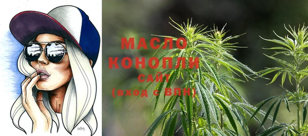 мдпв Козельск