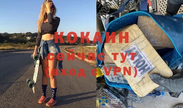 мдпв Козельск