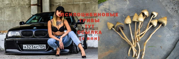 МДМА Козловка