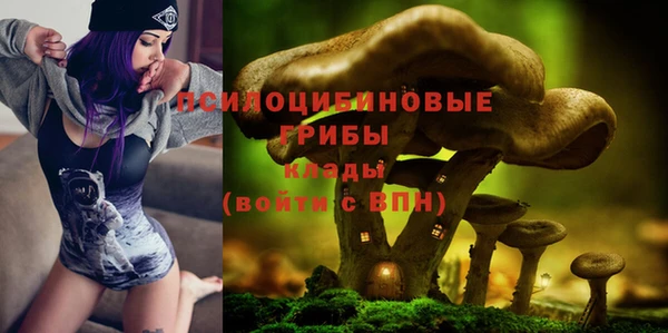 мдпв Козельск