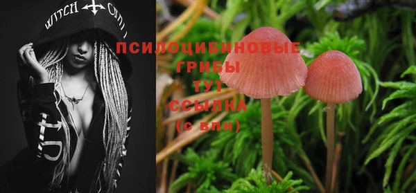 МДМА Кодинск