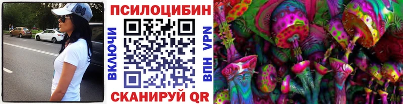 Купить где  Чистополь  Галлюциногенные грибы мицелий 